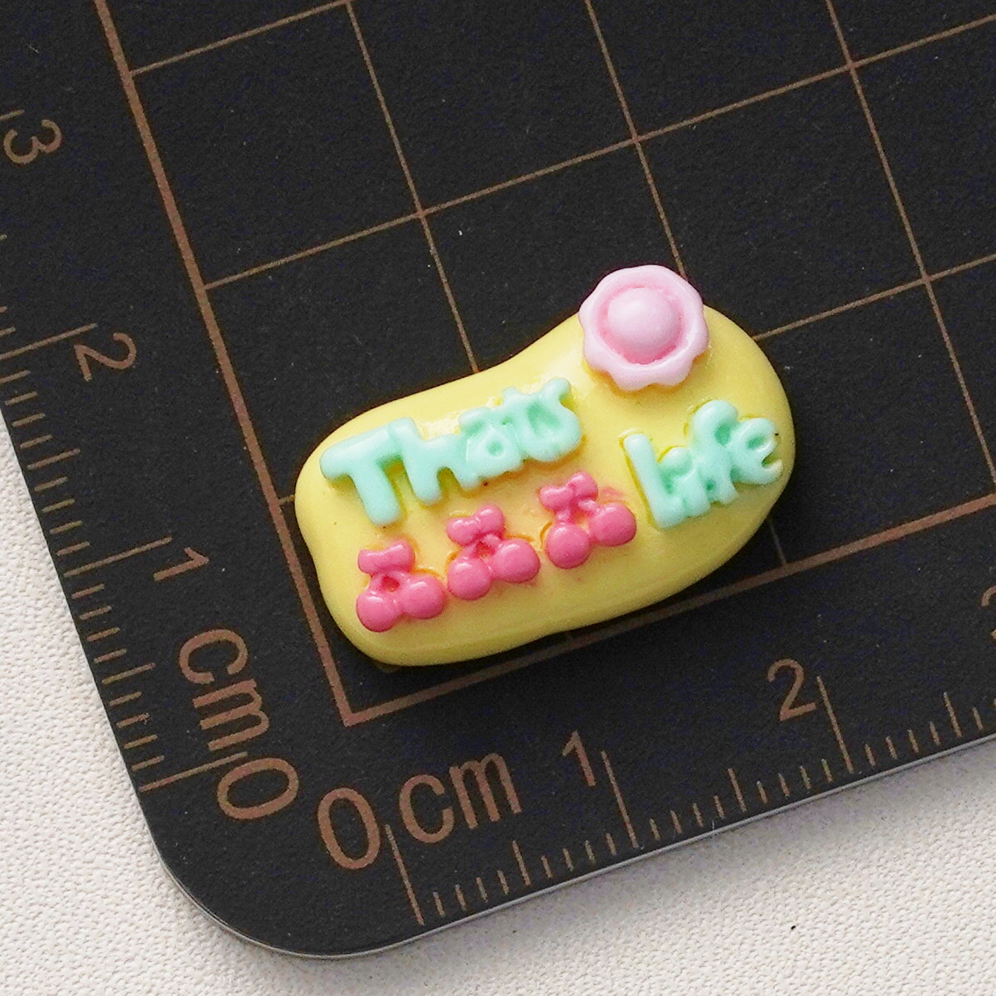 10 PCS Cartoon Resin Charms