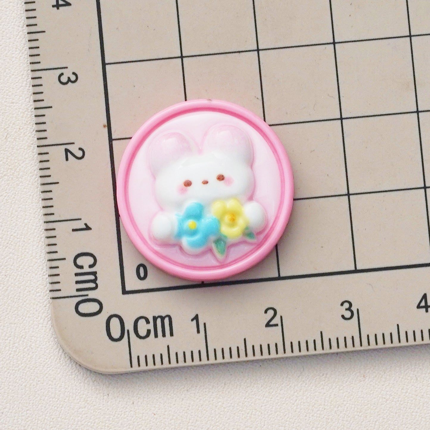 10 PCS Cartoon Resin Charms