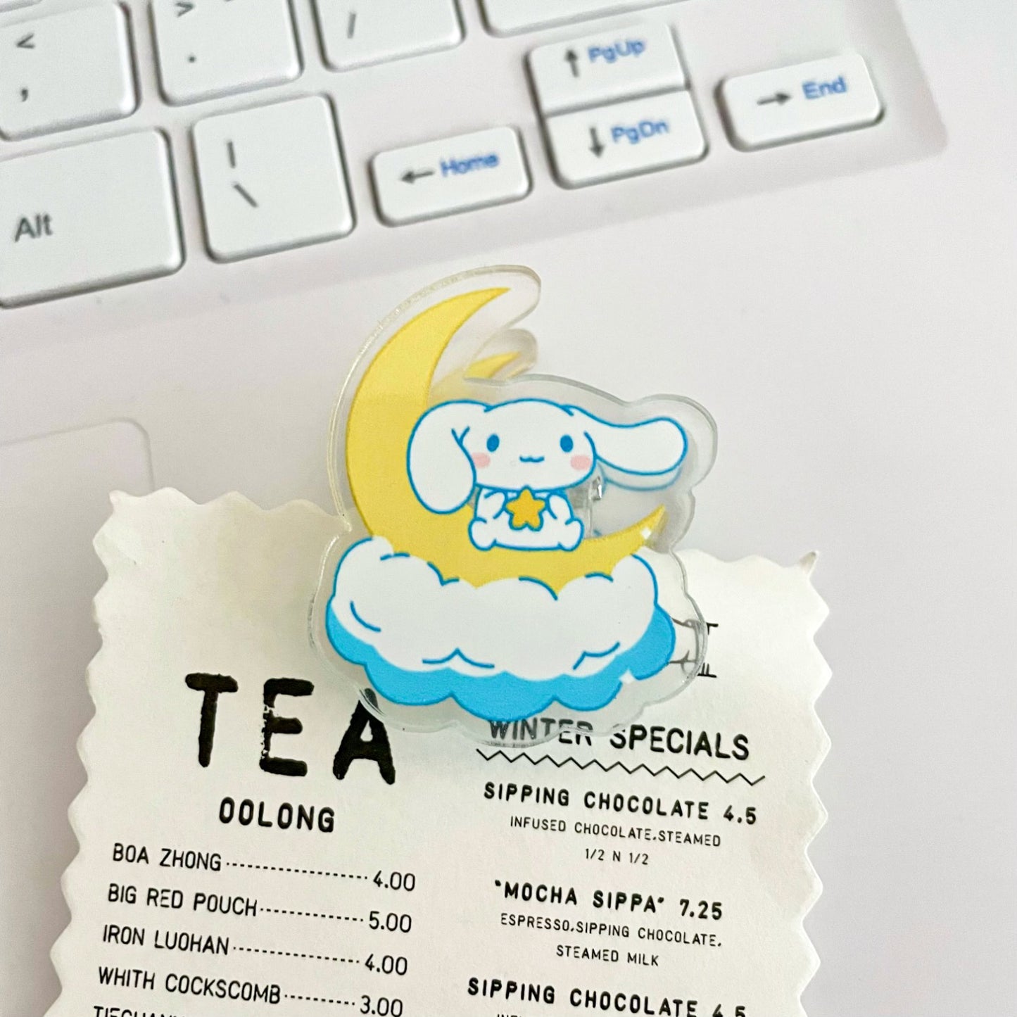 10PCS Sanrio PP Acrylic Clips