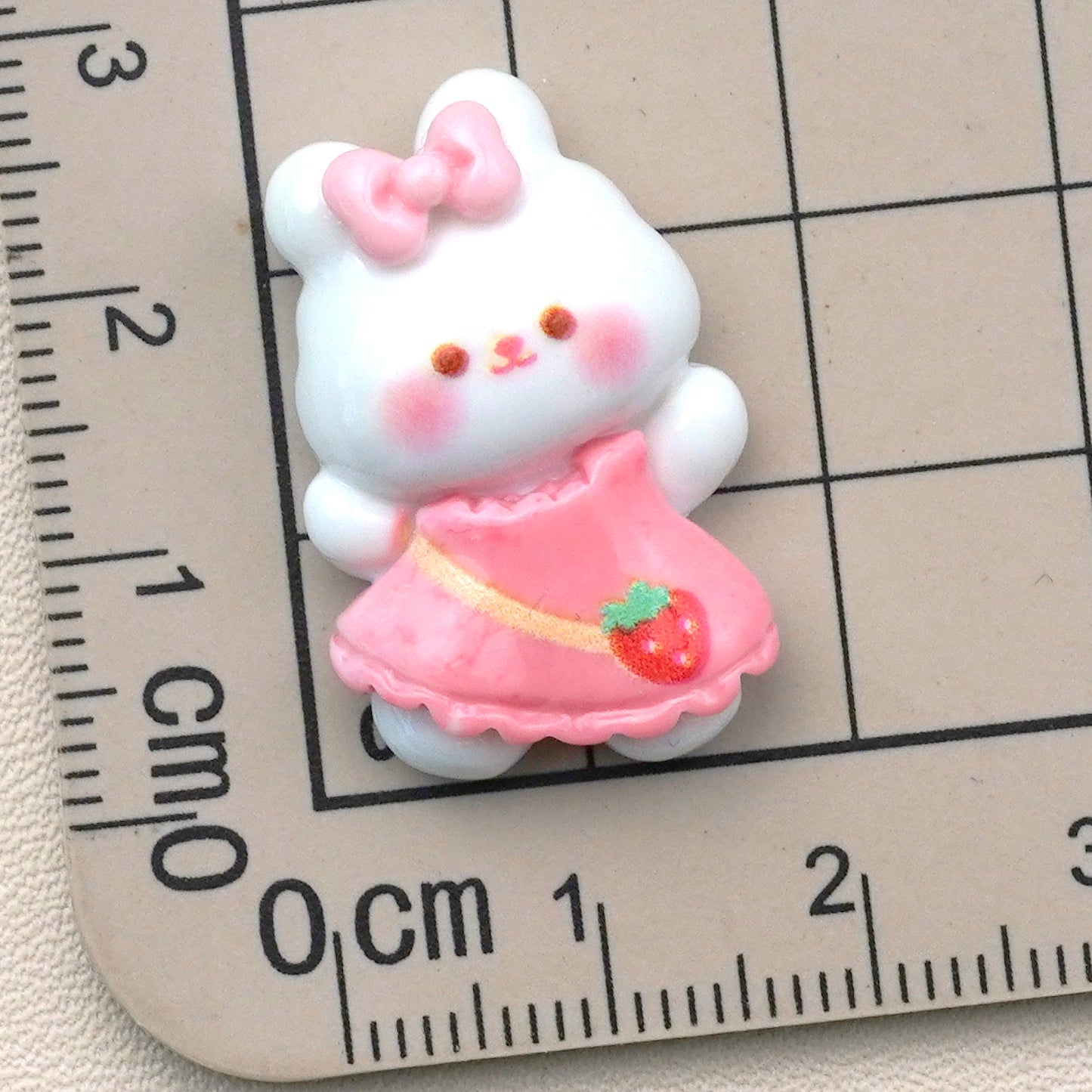 10 PCS Cartoon Resin Charms