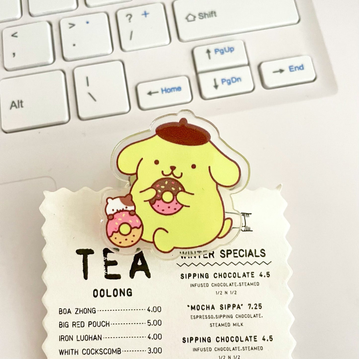 10PCS Sanrio PP Acrylic Clips