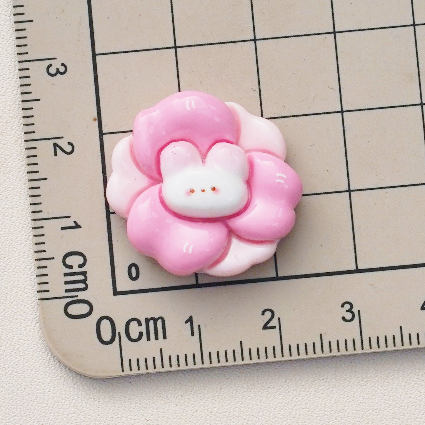 10 PCS Cartoon Resin Charms