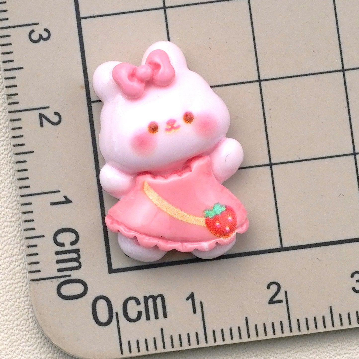 10 PCS Cartoon Resin Charms