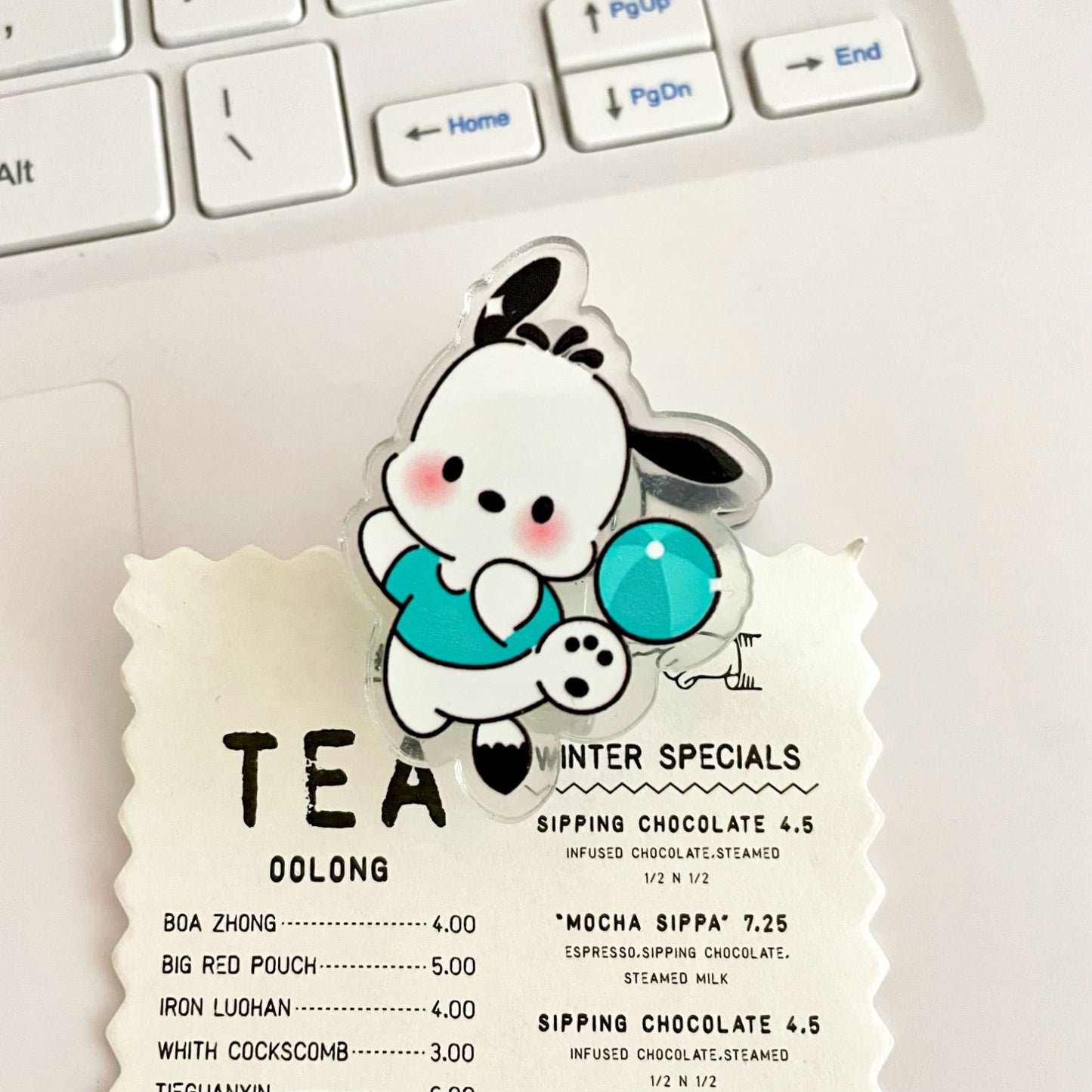 10PCS Sanrio PP Acrylic Clips