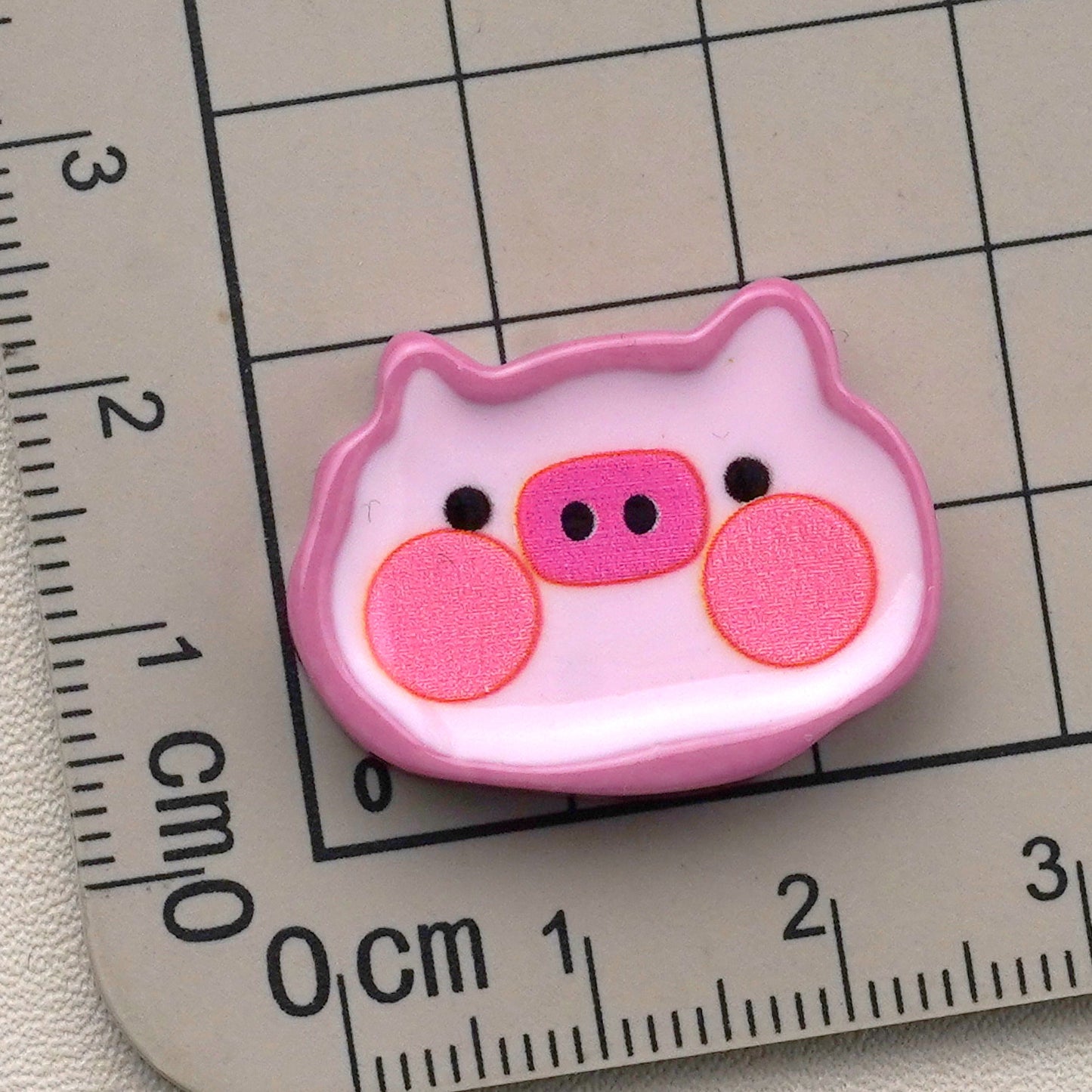 10 PCS Cartoon Resin Charms