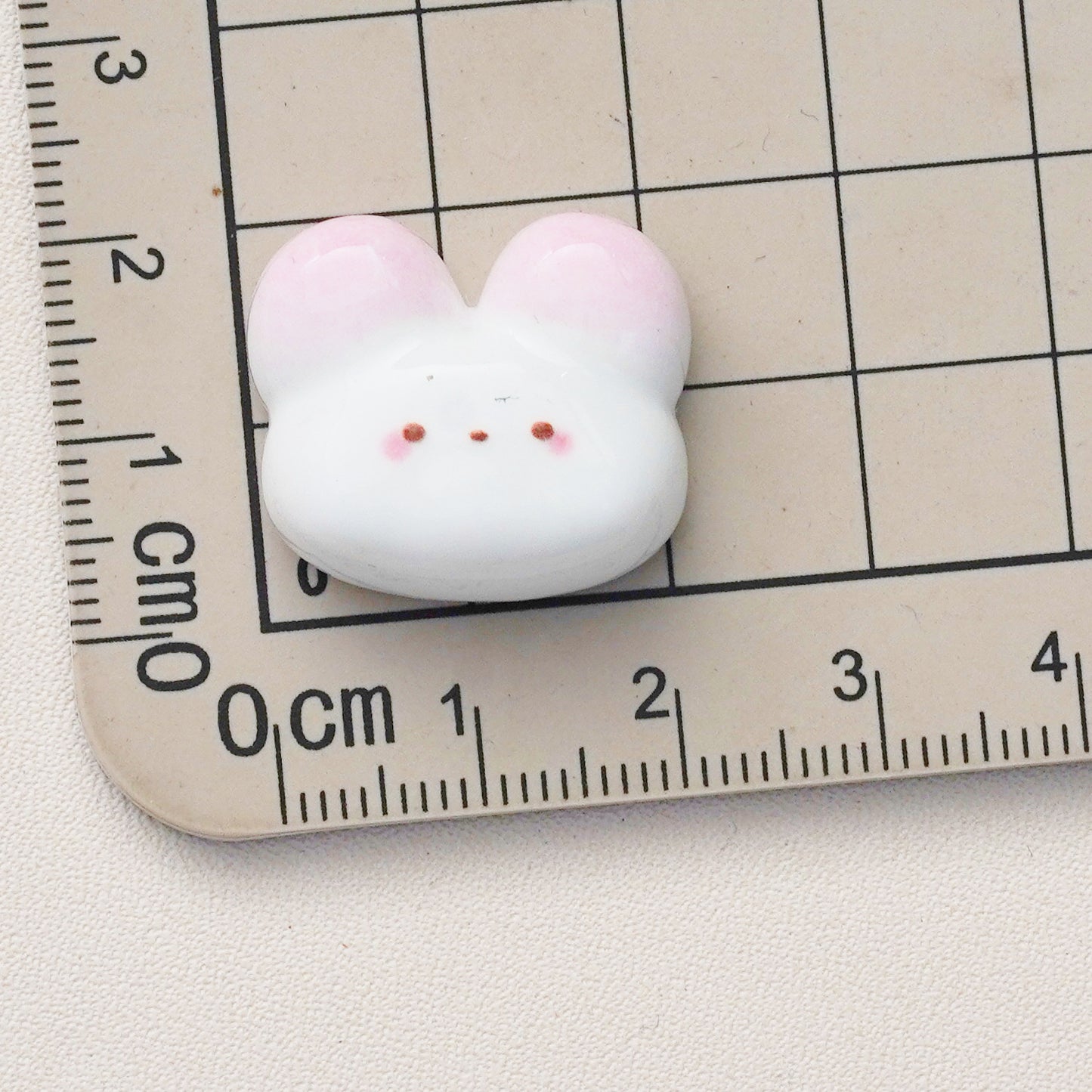 10 PCS Cartoon Resin Charms