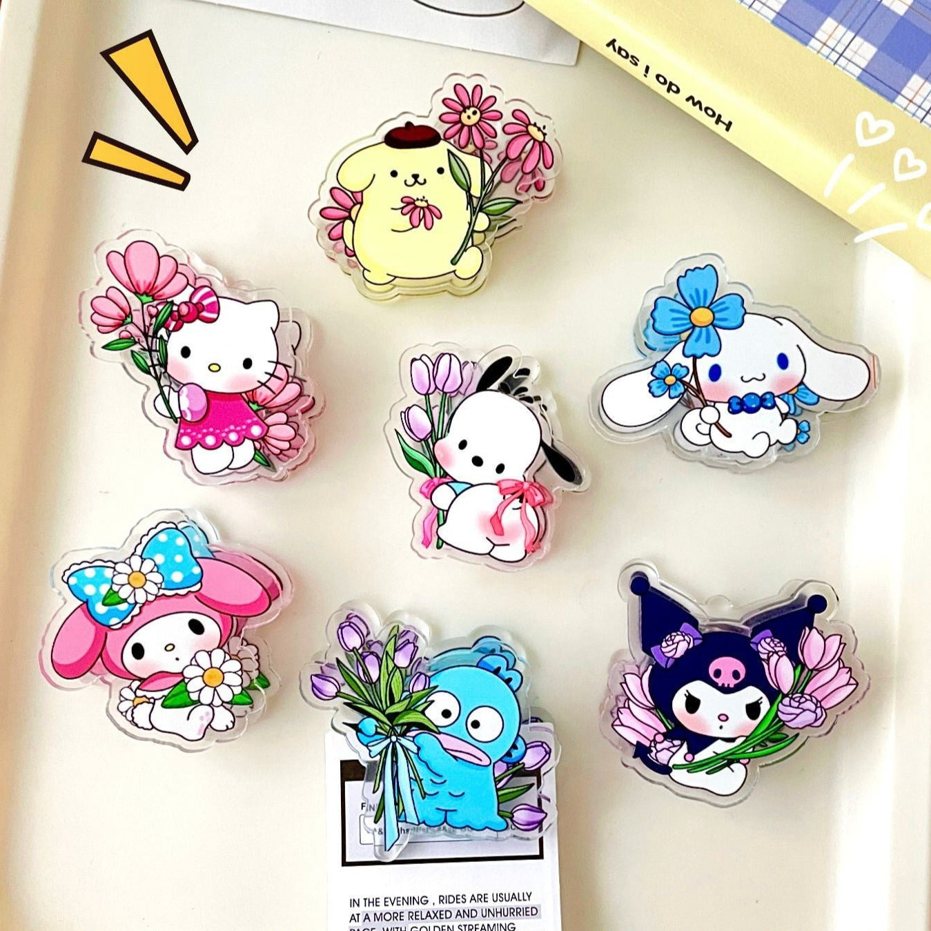 10PCS Sanrio PP Acrylic Clips